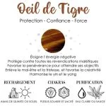 Fiche explicative Oeil de tigre